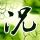 中国梦想秀